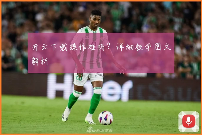 开云下载操作难吗？详细教学图文解析