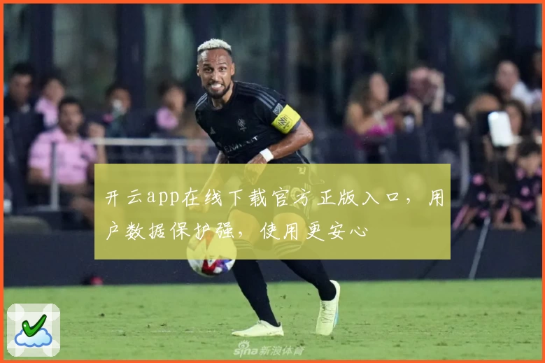 开云app在线下载官方正版入口,用户数据保护强,使用更安心