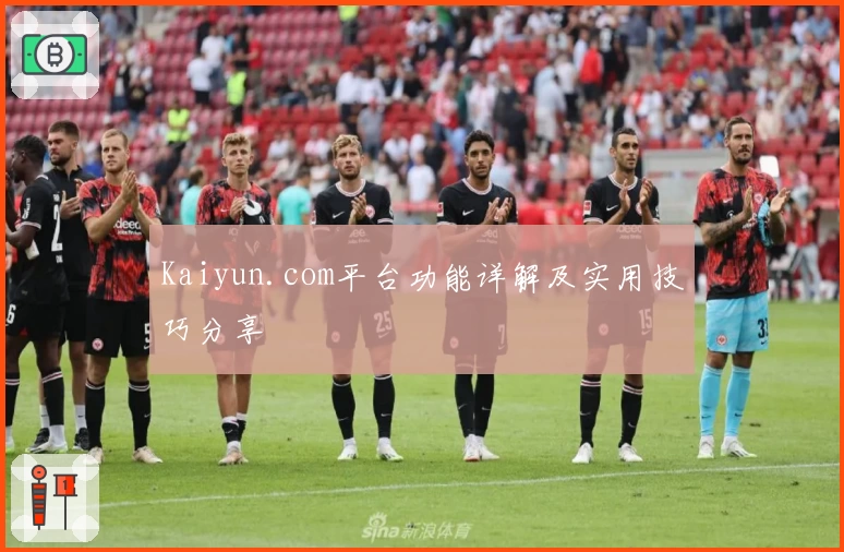 Kaiyun.com平台功能详解及实用技巧分享
